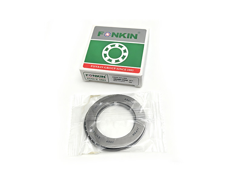 Rodide aguja y jaula AXK4060+AS4060-FONKIN